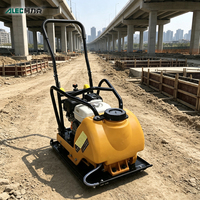 Compacteur à plaque thermique économique 5,5 CV 15KN pour la réparation routière, vente en gros, fabricant