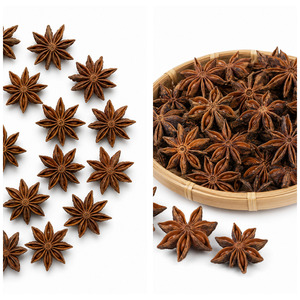 Vietnam Manufacturer Supply International Standard Wholesale Price Best Selling Star Anise Bulk Supply - Product Image 4