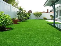 Semences d'herbe de pelouse Premium CRADLE of LIFE de LAP NATURE, germination rapide, résistantes à la sécheresse, durée de conservation de 12 mois, prêtes pour l'agriculture