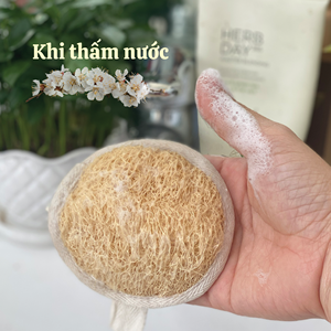 Discos de Limpieza Facial de Algodón Ecológicos EXPAD Mina Brown, Exfoliante Facial Reutilizable Orgánico, Desmaquillante Certificado por Saso - Product Image 3