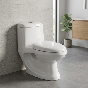 Ensemble WC monobloc en céramique avec siphon, anti-odeur, anti-gel, anti-fissuration, à poser au sol, pour salle de bain, vente en gros - Product Image 3