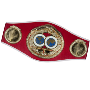 Custom Championship Belt Red Strap Gold Globe Design Premium Quality Wrestling Belt with Global Icons for Fans and Collectors - Product Image 3