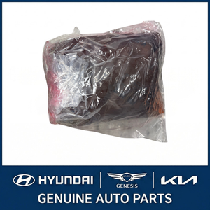 Grandeur/Azera Nouvelles pièces et accessoires pour voitures et camions 462104G600 - Product Image 2