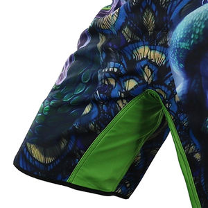 Pantalones Cortos de MMA al por Mayor para Hombre, Tendencia 2025, Alta Calidad, Ropa de Artes Marciales a la Moda, MOQ Bajo con Servicios OEM - Product Image 6