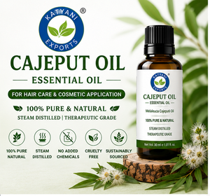 Huile Essentielle de Cajeput (Melaleuca Cajuputi) 100% Pure, Profil Aromatique Herbal, 1 KG, Distillée à la Vapeur - Par Katyani Exports d'Inde - Product Image 2