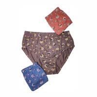 Culottes en Spandex tricotées à coupe haute pour femmes, avec logo personnalisé, motif imprimé, dentelle décorative disponible, couleurs unies