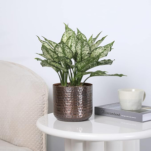 Jarrón de Metal en Tono Cobre Vintage, Maceta con Textura Martillada, Recipiente Cilíndrico para Plantas Suculentas de Interior, Macetas de Metal - Product Image 2