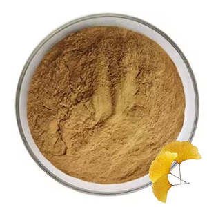 Poudre de feuilles de Ginkgo Biloba haute concentration pour le soutien de la mémoire et de la concentration, matière première végétale, au meilleur prix - Product Image 3