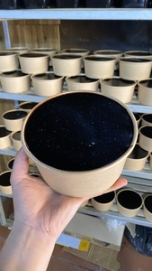 เจลลี่หญ้าเข้มข้นสำหรับการผลิตเครื่องดื่มเชิงพาณิชย์ - Product Image 3