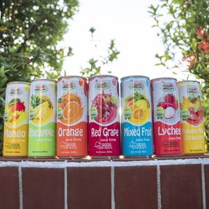 Jugo de Piña Tropical de Alta Calidad, Lata de 250 ml, Fabricación de Bebidas Nawon, Certificado GMP, Precio, MOQ, Muestra Gratuita - Product Image 4