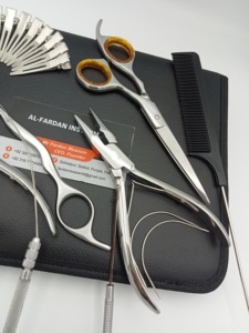 New Hair Extensions Tools Kit Silver Mirror Polish Stainless Steel Custom Logo Accepted Pliers Scissors Loop & <b>Hook</b> Metal <b>Clips</b> - Product Image 6