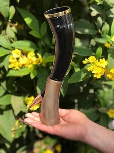 Genuine Ox Horn Viking Drinking Horn- Natural Material, Hand-Polished Finish - Product Image 3