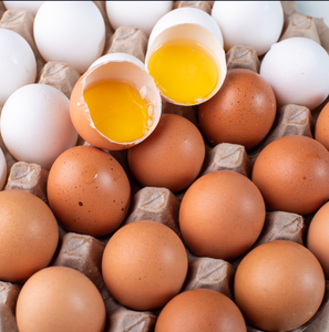 Huevos Frescos de Gallina de Corral Marrones y Blancos Marca Egga 20g Lop Buri Farm Supply Servicio de Alimentos Venta al por Mayor - Product Image 5
