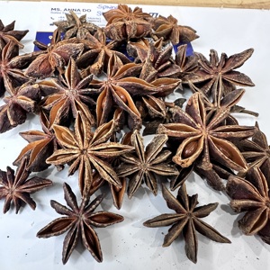 Anís estrellado vietnamita premium, entero, seco, sin tallo, de alto aroma, especia natural, a granel, venta al por mayor, grado alimenticio, exportación directa/ ANNA DO - Product Image 3