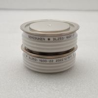 Diodes redresseurs russes 2000A 1000V DIODES DE REDRESSEMENT D253-2000-10 diode à disque pour convertir les courants DC et AC