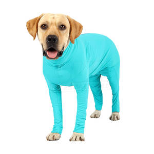 Traje para Perro al por Mayor, Lindo y Moderno, de Poliéster, Personalizado, Cómodo y con Estilo Urbano - Product Image 1