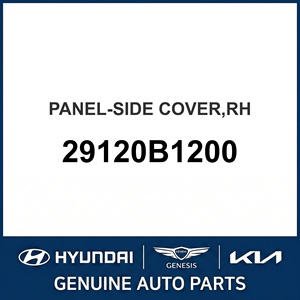 ฝาครอบด้านข้างของแผงหน้าปัดของแท้ใหม่, ด้านขวา รุ่น OEM 29120B1200 - Product Image 1