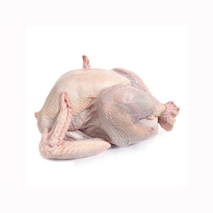ไก่แช่แข็งฮาลาลคุณภาพดี / อกไก่สำหรับขาย - Product Image 4