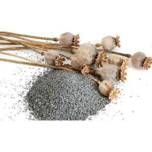 Graines de pavot (qualité supérieure) à prix négociable pour l'exportation - Product Image 3