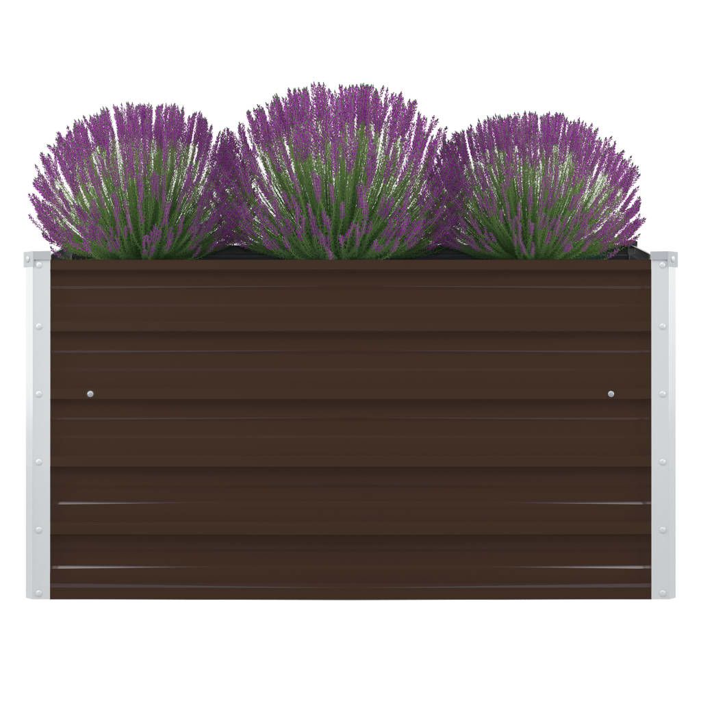 Brown Color