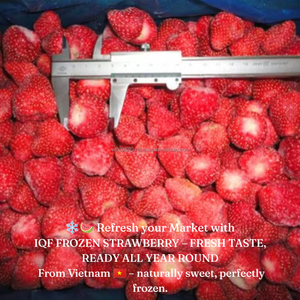 Fresas Enteras Congeladas IQF de Vietnam, Marca KMI, 10 kg, Naturalmente Dulces, Perfectamente Congeladas, Empaque a Granel - Product Image 1