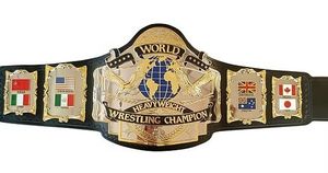 Réplica del Cinturón de Campeonato WF Hogan 87 - Product Image 3