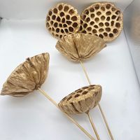 Vente en gros d'usine de gousses de lotus dorées naturelles pures avec emballage personnalisable