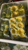 Biologische IQF Diepvries Avocado Halves 30kg Karton Gemaakt in Vietnam Hoge Kwaliteit Diepvries Fruit in Bulk / Mevr. Tina +84 96 871 5470