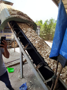 Vente en gros de copeaux de bois en grande quantité en provenance du Vietnam pour les applications de pâte à papier/biomasse combustible à prix avantageux - Product Image 6