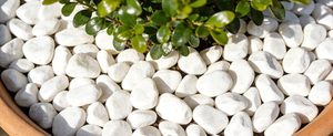 Galets de rivière blancs comme neige, polis naturellement, écologiques, pierres décoratives pour l'aménagement paysager moderne des jardins - Product Image 5