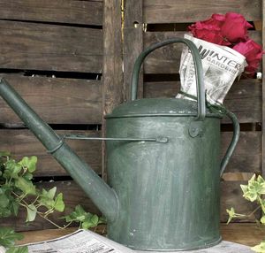 Regadera metálica elegante con pico largo para riego preciso de plantas delicadas, flores, hierbas, en interiores y exteriores. - Product Image 1