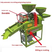Fraiseuse à grains multifonctionnelle Portable de haute qualité capacité 200 kg/h Offre Spéciale combinaison riz fraiseuse maison