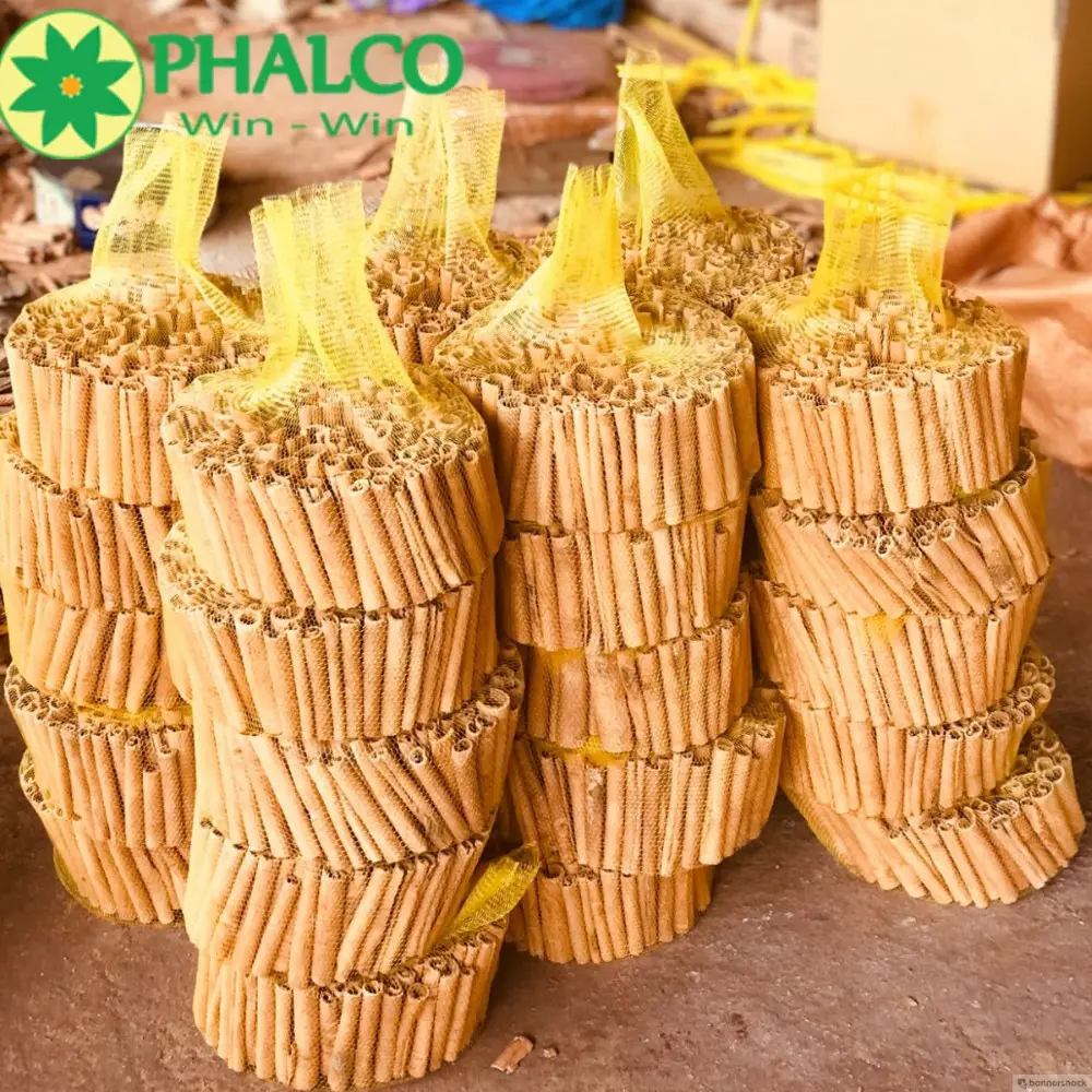 Vietnam Cinamon Stick Ceylon Zimts tangen Kräuter und Gewürze Lebensmittel zutaten