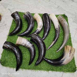 Cuerno para beber de buey de alta calidad, cuerno para beber de alta venta Natural, cuerno para beber de agua y cerveza, forma Natural personalizada pulida - Product Image 4