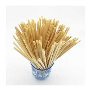 Pajitas de Bambú Naturales Reutilizables, Ecológicas y Biodegradables para Restaurantes, Cafés, Hoteles y Bares, Suministro al por Mayor - Product Image 5
