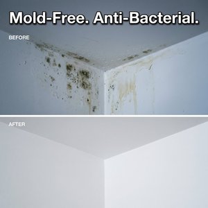 Peinture fonctionnelle protectrice anti-moisissure, résistante à l'humidité, à base d'eau, pour surfaces murales intérieures humides, en vrac - Product Image 3