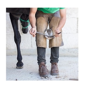 Testeur de sabot de cheval en acier inoxydable, modèle plat, outil de diagnostic de boîteurie équine, fournitures vétérinaires pour éleveurs et ferrailleurs, bétail - Product Image 4