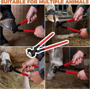 Alicates para Pezuñas de Caballo de 14 Pulgadas, Herramienta de Herrador de Acero con Alto Contenido de Carbono, Alicates Profesionales para Recortar Pezuñas - Product Image 5