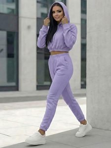 Ensemble de survêtement assorti pour femmes, sweat à capuche court à manches longues et pantalon de jogging, fournisseur en gros - Product Image 3