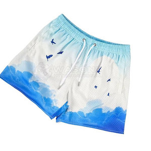 Shorts de sport décontractés légers, respirants, en tissu à séchage rapide, conçus pour les activités sportives et le confort quotidien, shorts en mesh pour hommes - Product Image 2
