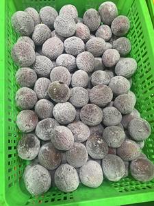 เสาวรสแช่แข็งแบบสดใหม่จากธรรมชาติ100% สั่งซื้อจำนวนมากราคาที่ดีที่สุดสำหรับการส่งออกแบบขายส่ง - Product Image 5