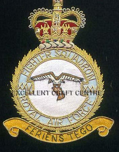 ตราปักลายลูกไม้คุณภาพสูง RAF FIGHTER SQD แบบเย็บติดบนผ้า ดีไซน์หรูหราทรงกลม สำหรับเสื้อผ้า - Product Image 6