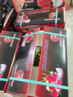 Premium Export Drakenfruit Uit Vietnam Schone Rode Schil Witte Of Rode Pulp Met Hoge Voedingswaarde Verpakt Voor Wereldwijde Verkoop