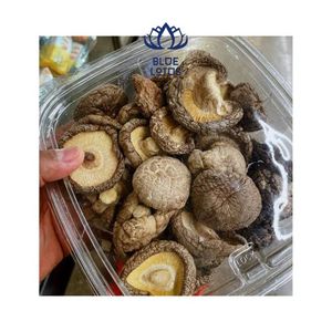 เห็ดหอมแห้งขายดี คุณภาพสูง รสชาติเข้มข้น เหมาะสำหรับอุตสาหกรรมอาหาร - Product Image 1