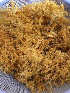 Eucheuma cottonii สาหร่าย/มอสทะเลแห้งคุณภาพสูงจากเวียดนาม/มิสลิมา - Product Image 3