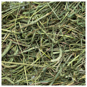 Heno Timothy de Primera Calidad para Alimentación Animal, Heno para Conejos y Cobayas, Suministro al por Mayor, Stock Disponible - Product Image 3