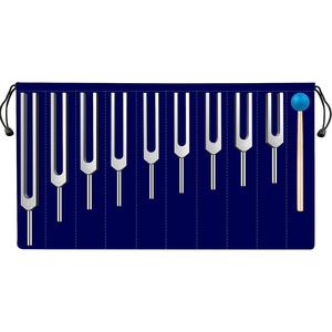 Diapason médical de qualité supérieure pour examen neurologique et auditif - Product Image 6