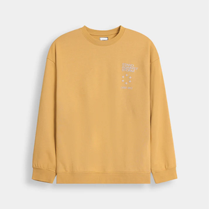 Le sweat-shirt ultime en coton biologique épais 500 GSM, coupe ample, couleur blanc cassé - Product Image 5