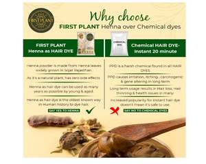 Poudre de henné premium du Rajasthan |   Poudre de henné 100% biologique pour la coloration et les soins des cheveux, henné certifié IGI directement importé (350 g) - Product Image 5