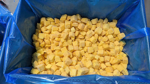 Mangues coupées surgelées de qualité supérieure pour la restauration, ingrédient de chair tropicale, emballage sous vide, conservation de l'eau en vrac pour les magasins de boissons, Vietnam - Product Image 4